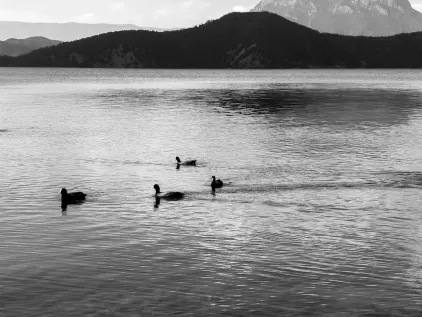 Casino Midas App Mobile